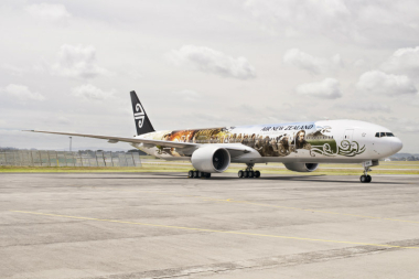 ADMARKS 1ST HOBBIT THEMED PLANE WRAP